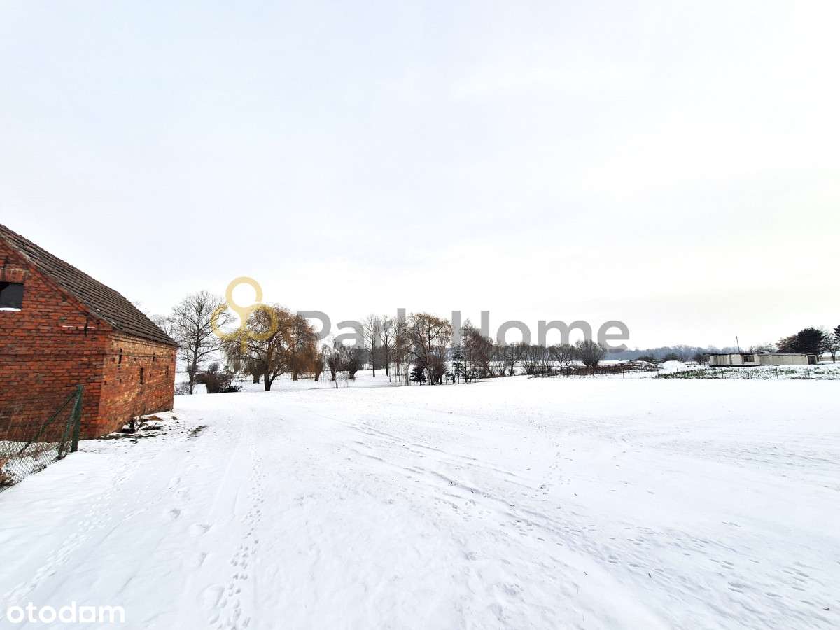 Duża działka w spokojnej okolicy Nochowo - Pełny obrazek: 4/11