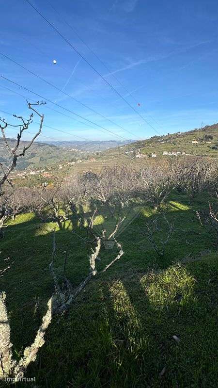 Terreno  para venda-0