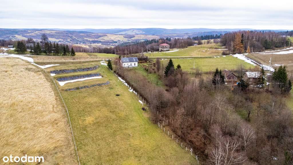 Dom w wyjątkowej lokalizacji - 58,6 ar | Niebocko-19