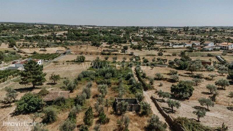 Quintinha T1 / Fundão, Soalheira - Grande imagem: 5/14