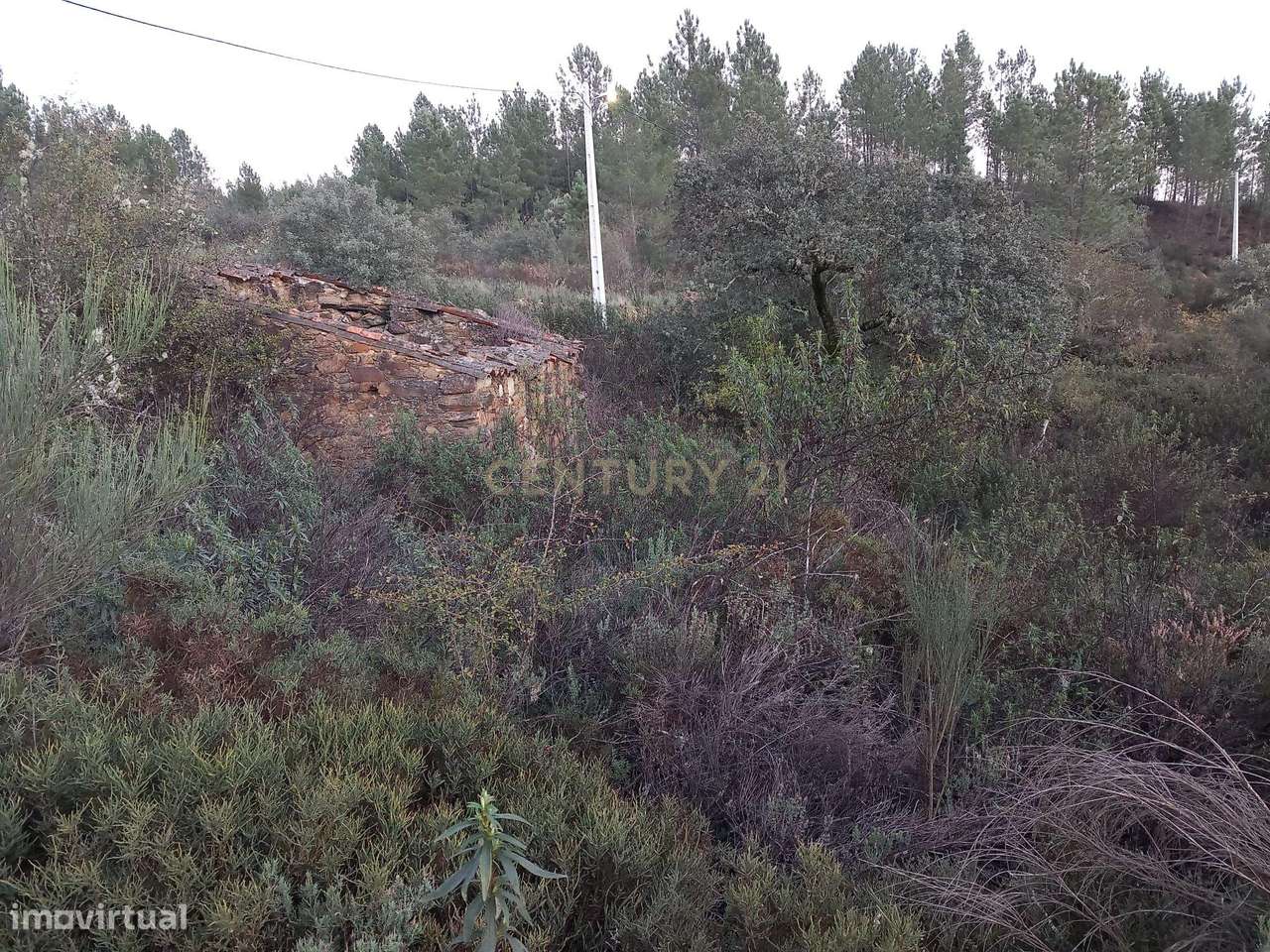 Terreno Rustico Monte Gordo Sarzedas - Grande imagem: 4/5