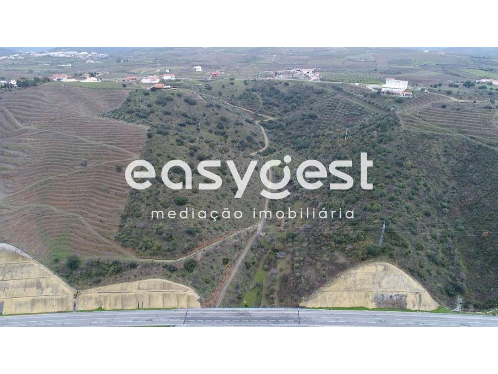 Terreno rústico agrícola com possibilidade de construção em Vila No... - Grande imagem: 4/4