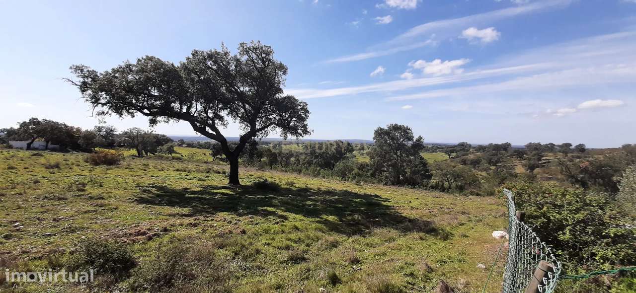Alcácer do Sal - Herdade 115ha - Grande imagem: 3/17