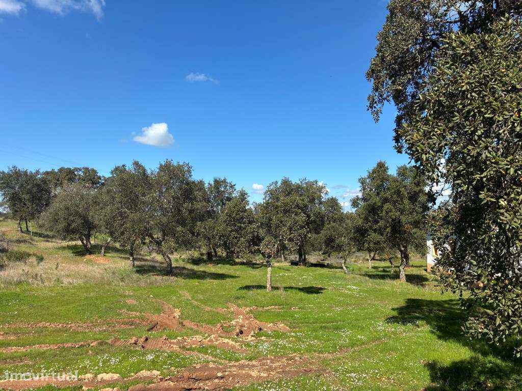 Quinta T2 em Serpa | Vista para a barragem-45