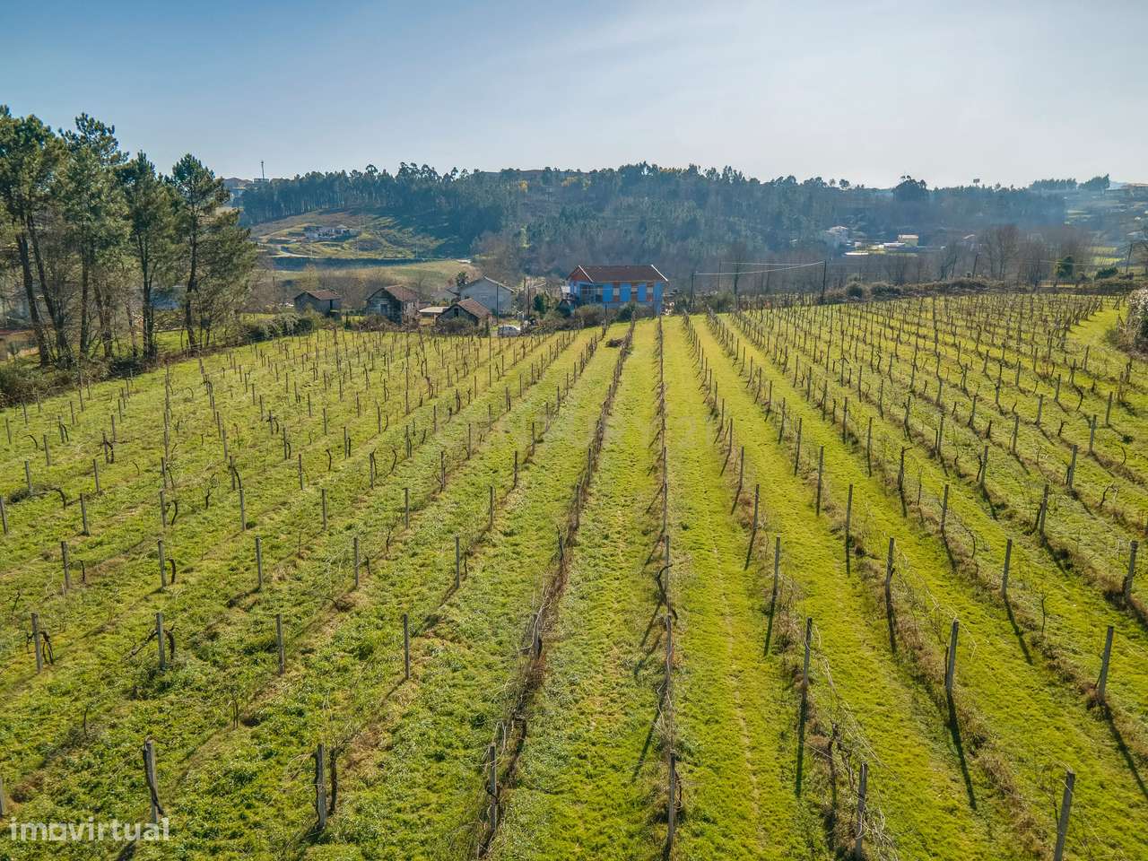 Terreno rústico com viabilidade de construção - Grande imagem: 4/19