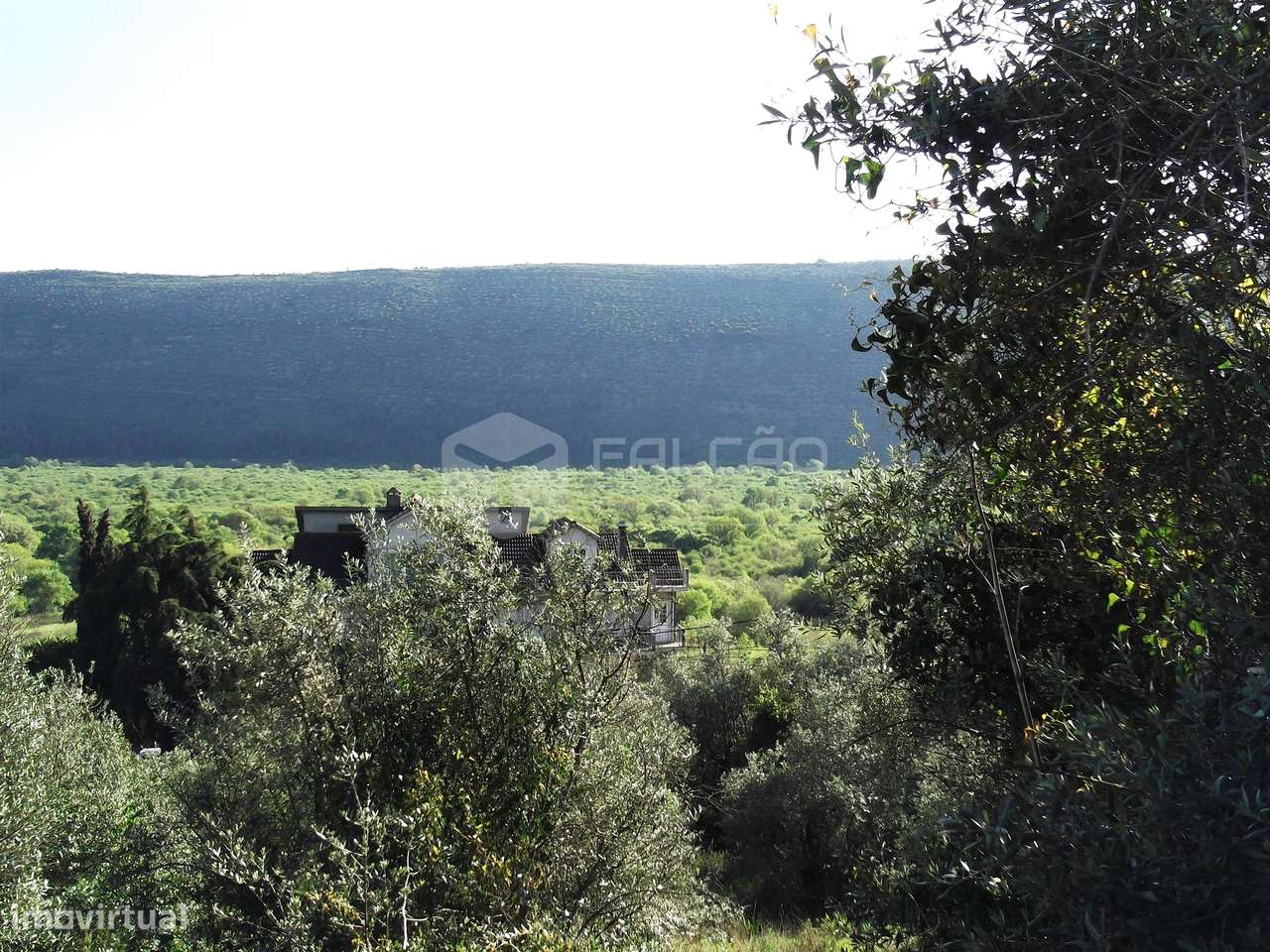 Terreno  Venda em Mira de Aire,Porto de Mós - Grande imagem: 2/12
