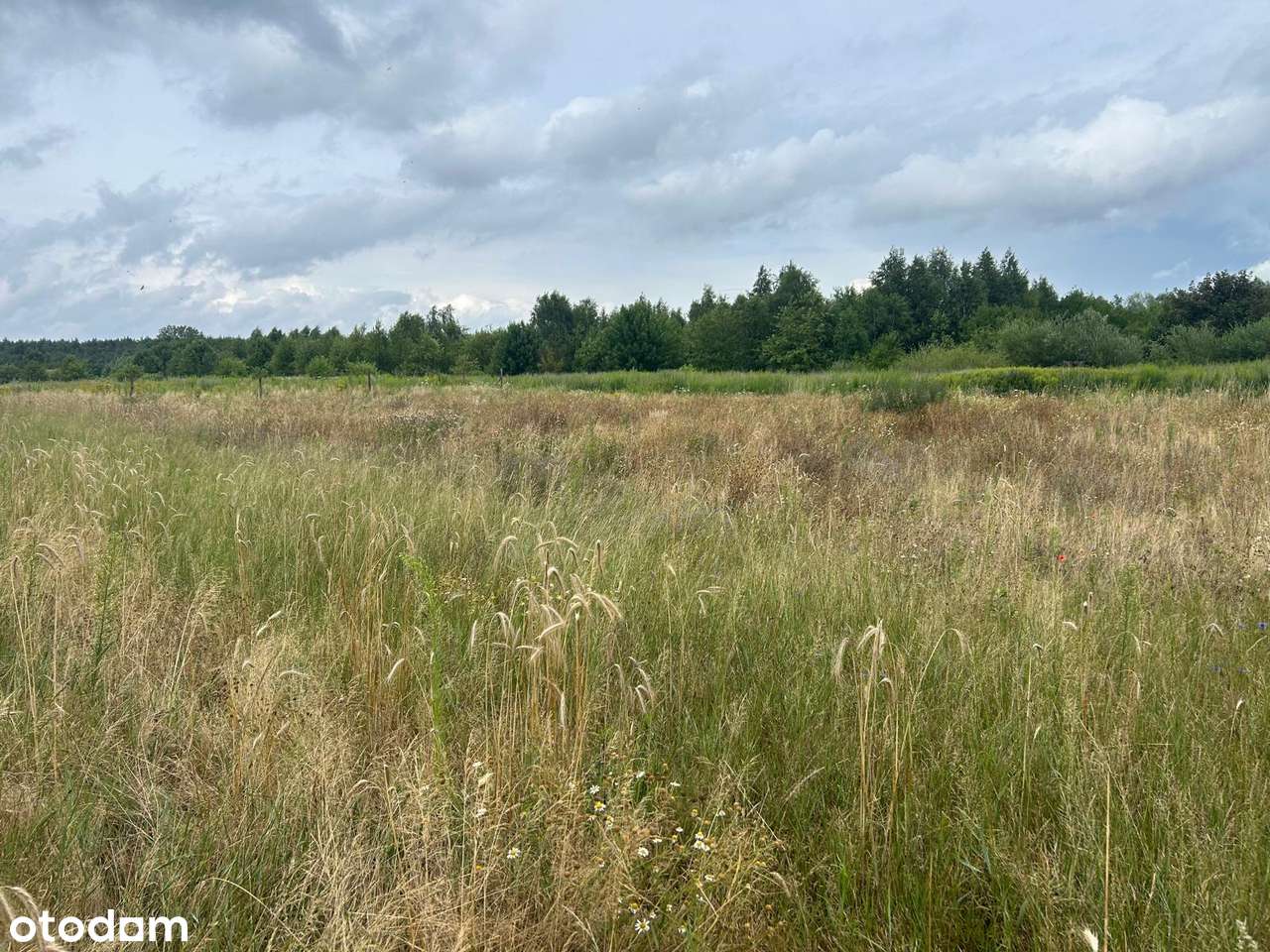 Działki budowlane z WZ, w zielonej części Poznania - Radojewo! - Pełny obrazek: 4/5