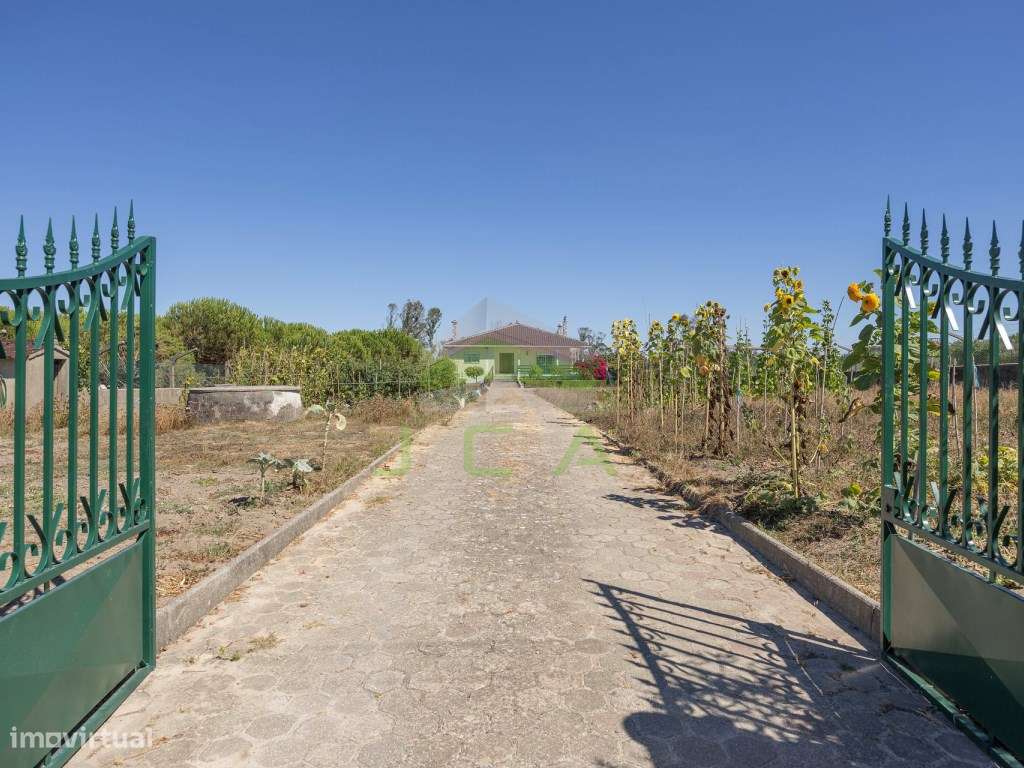 Moradia V3+2 com 4.010m2 de terreno a 5min de Leiria-10