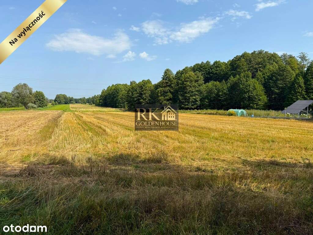 Duża działka rolna na sprzedaż z możliwością budowy domu - Pełny obrazek: 4/12