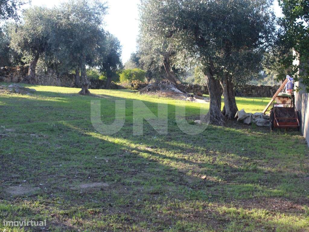 Terreno Urbano com 850m2 de área-4