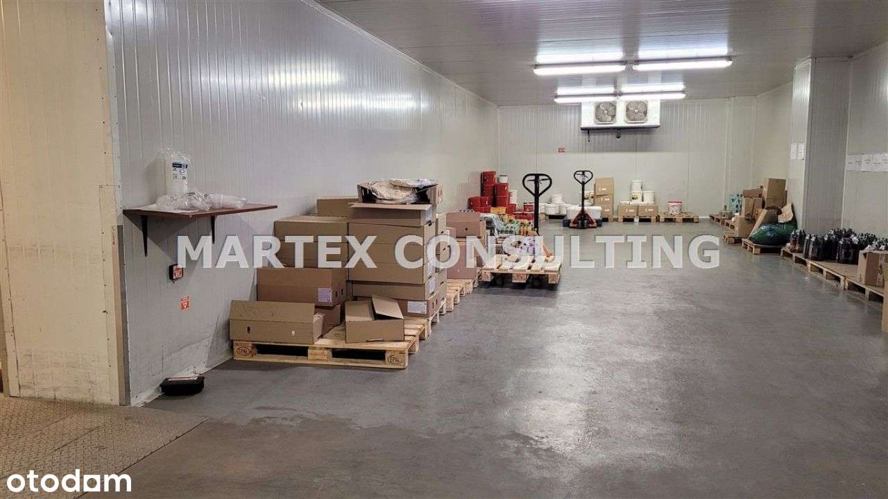 Hala/Magazyn, 895 m², Wodzisław Śląski - Pełny obrazek: 4/6