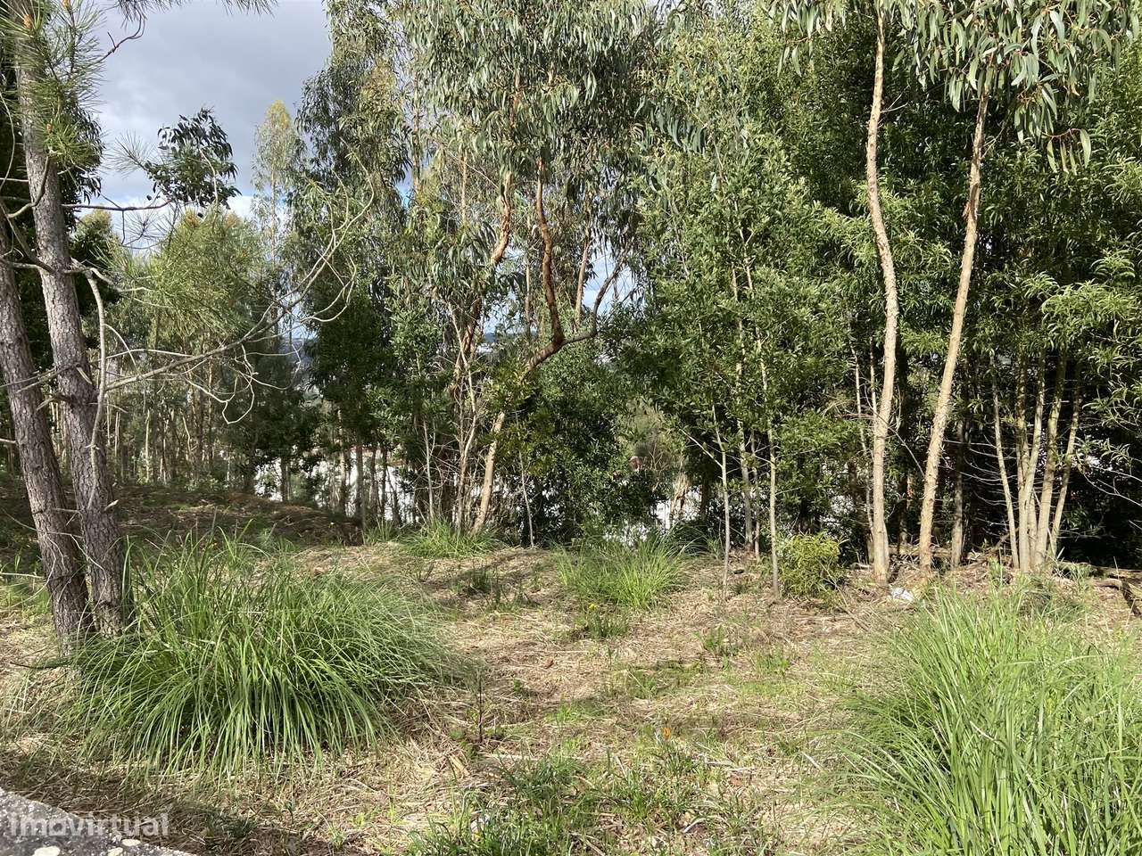 Terreno  Venda em Leiria, Pousos, Barreira e Cortes,Leiria - Grande imagem: 2/6