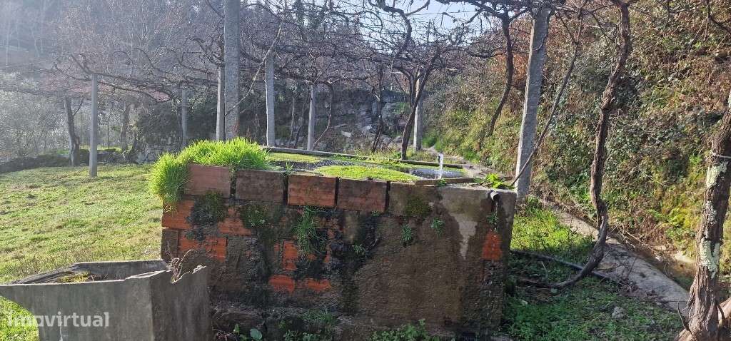 Terreno rústico - Mosteiro - Grande imagem: 5/15