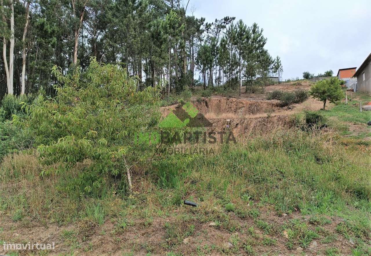 Terreno Urbano c/1900 m2 em Canedo-9