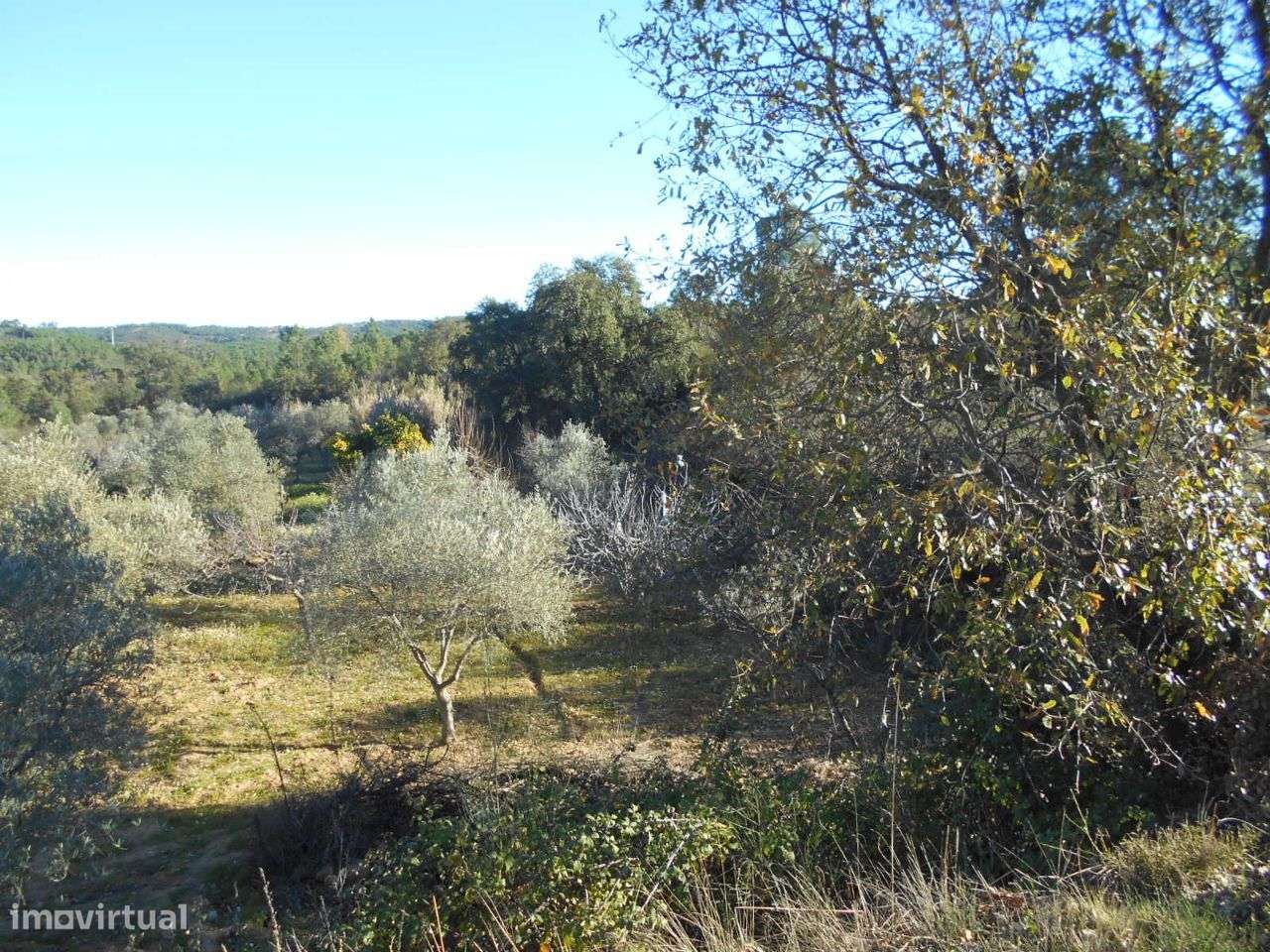 Terreno - Grande imagem: 2/7