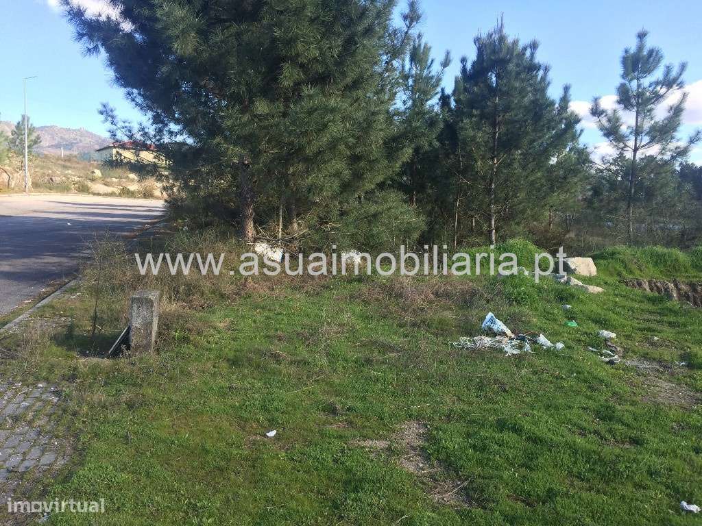 Lote Industrial - Monsul - Grande imagem: 4/5