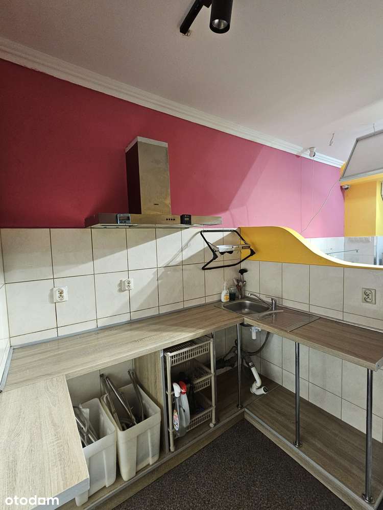 Sprzedam atrakcyjny, działający biznes z tradycjami - lodziarnia - Pełny obrazek: 5/11