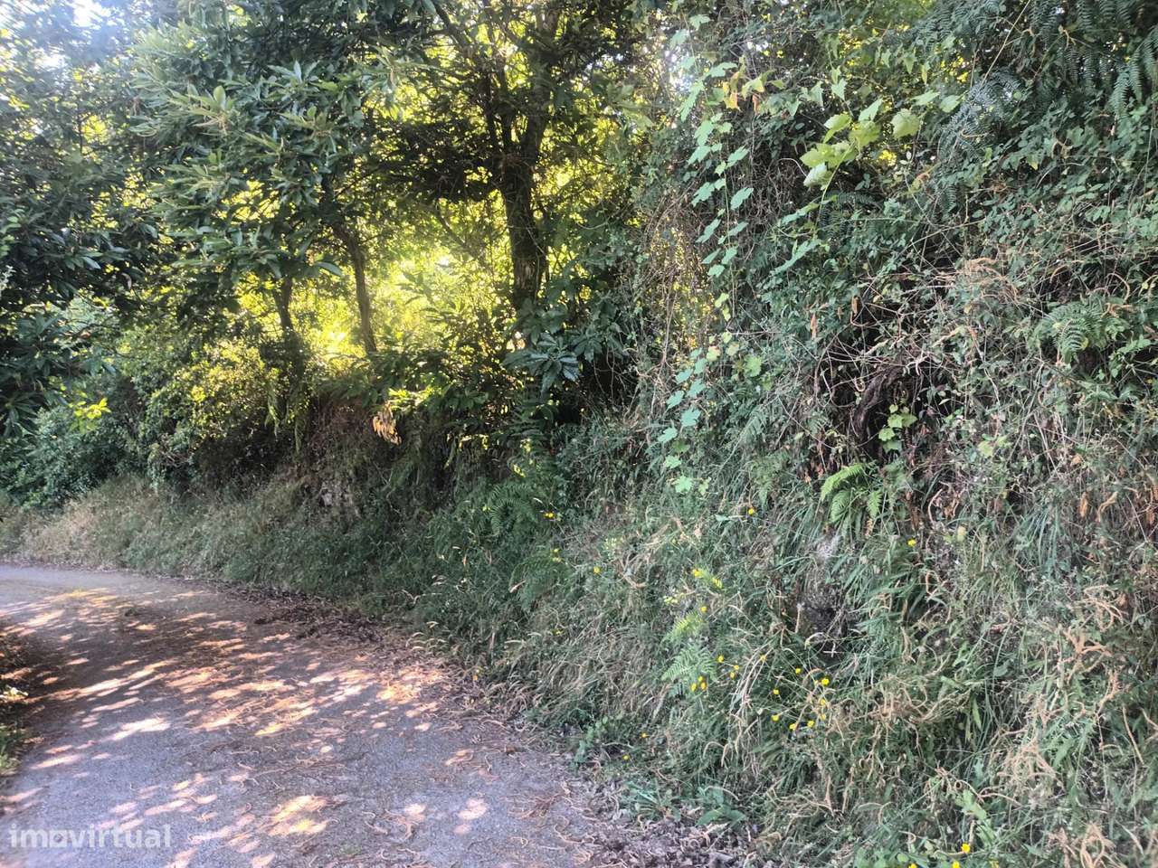 Terreno Grovelas, Ponte da Barca-0