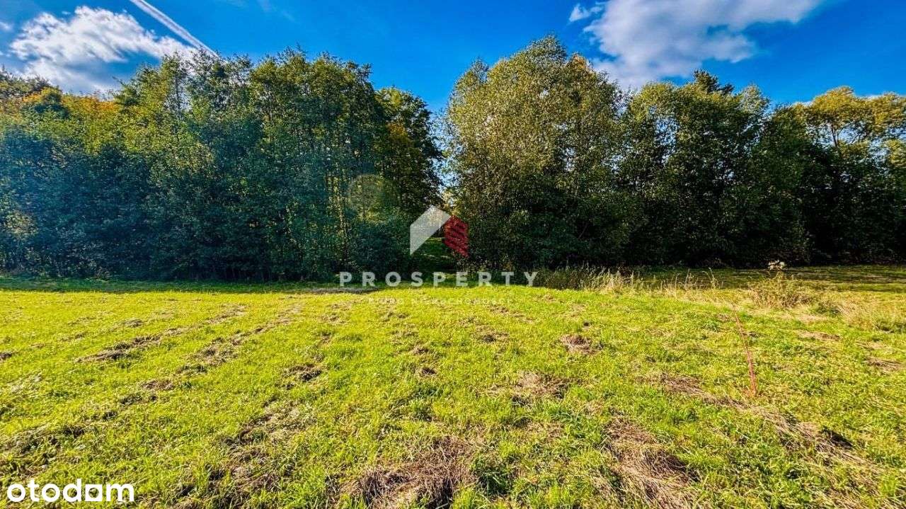 Działka budowlana pod lasem Kozy-5