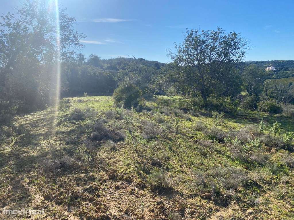 Lote de terreno rústico situado em zona muito tranquila, Boliqueime... - Grande imagem: 4/14