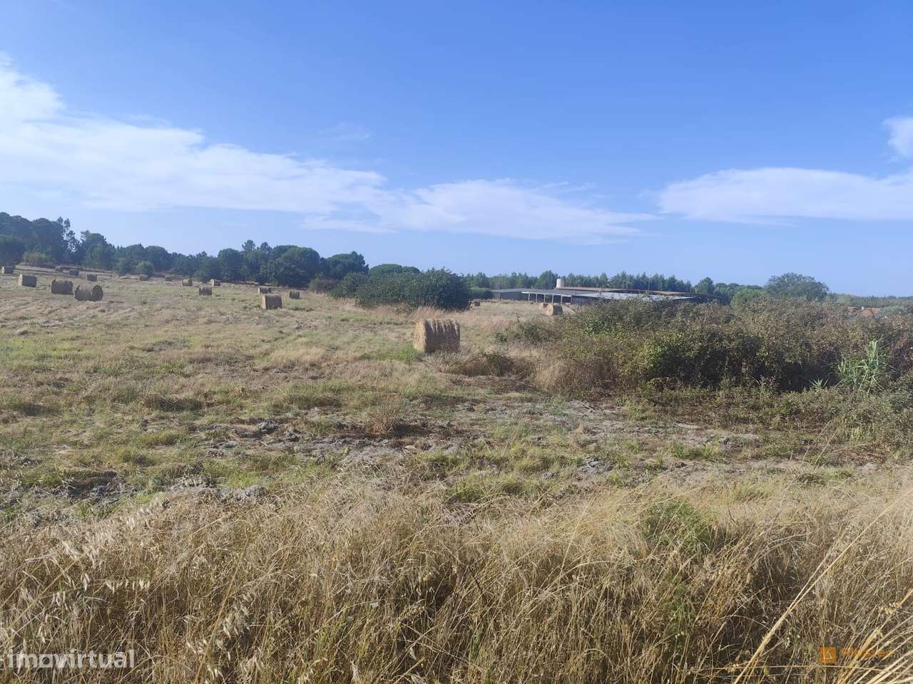Terreno Para Construção  Venda em Branca,Coruche-6