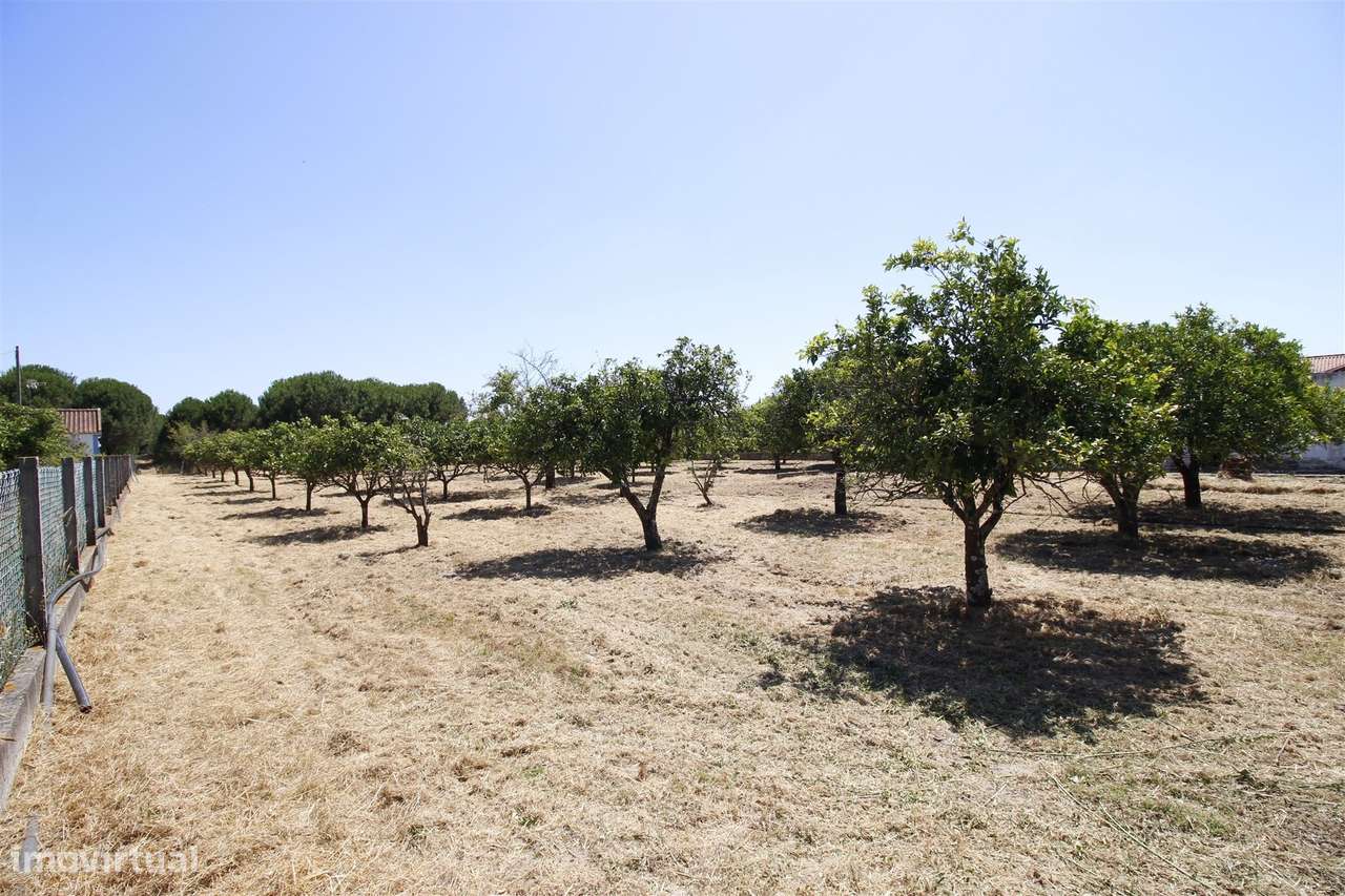 Moradia T3 Venda em Vendas Novas,Vendas Novas-18
