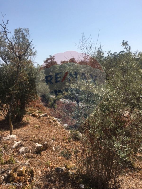 Terreno  para venda