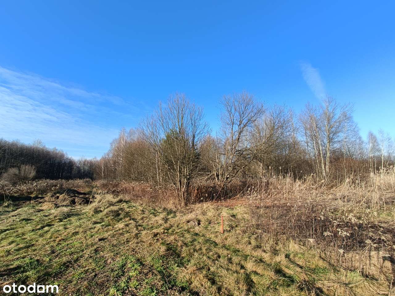 Działka w zielonym zakątku o powierzchni 45ar, Jasionka! - Pełny obrazek: 5/5