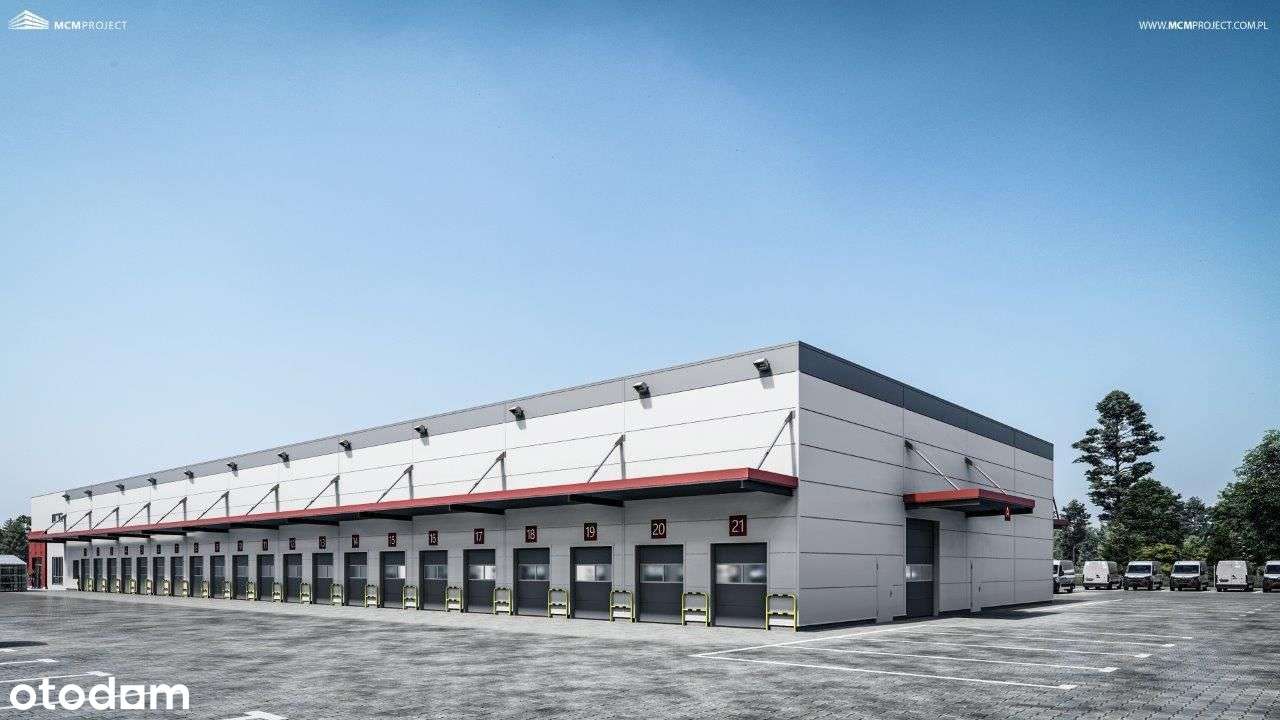 Działka inwestycyjna 1,2h narożna przy obwodnicy i GPZ Ciechanów - Pełny obrazek: 5/6