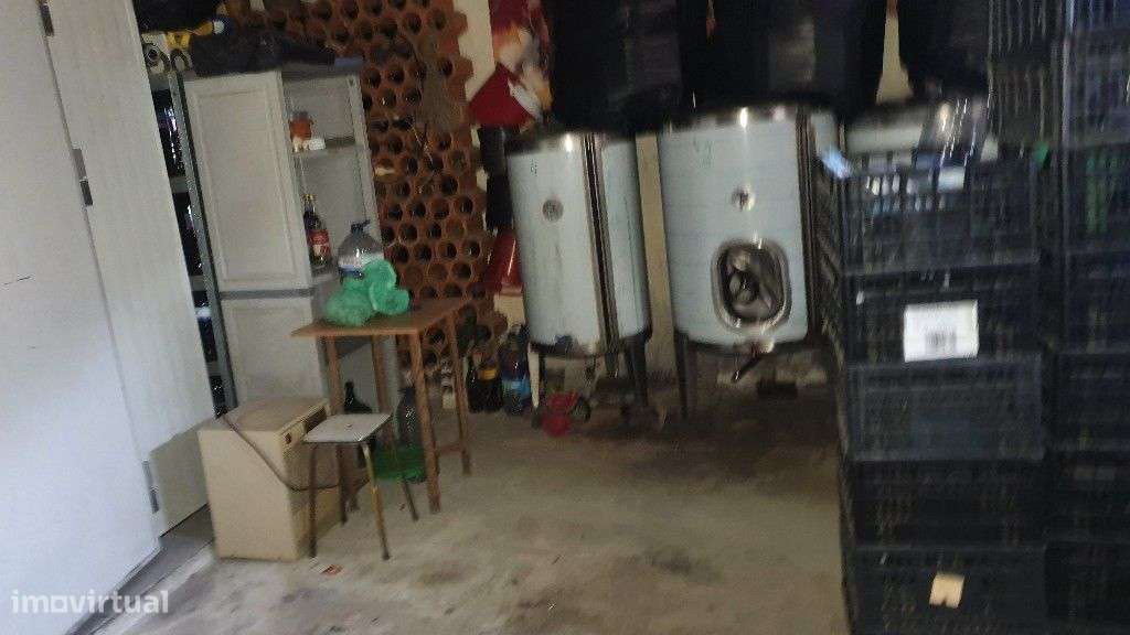 Quinta de 6.000m2 com moradia e anexos. - Grande imagem: 5/45