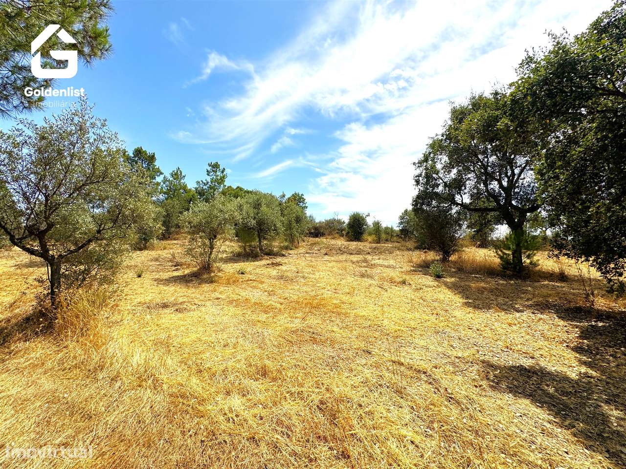 Quintinha  Venda em Escalos de Cima e Lousa,Castelo Branco-22