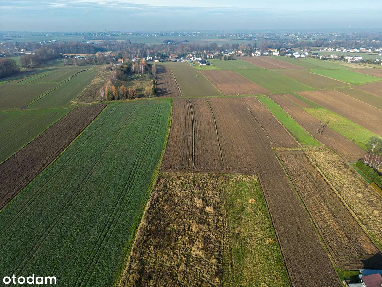 Działka, 800 m², Hecznarowice-6