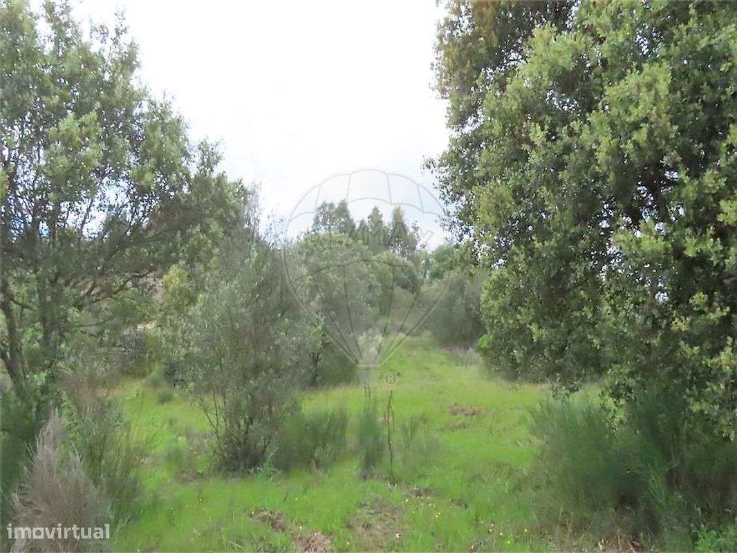 Quinta  para venda - Grande imagem: 5/47