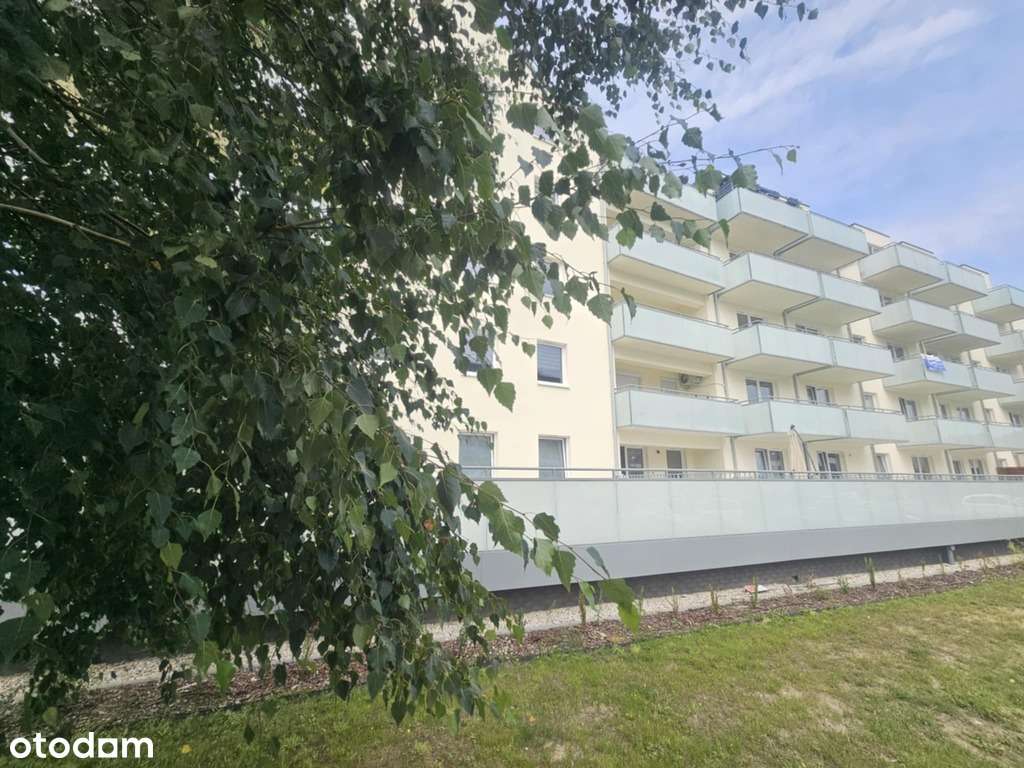 3 pokojowe w atrakcyjnej cenie - Pełny obrazek: 1/4