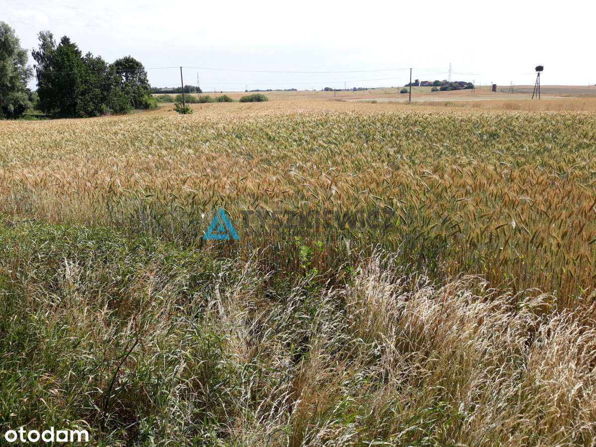 Działka Sztumska Strefa Ekonomiczna - Pełny obrazek: 4/4