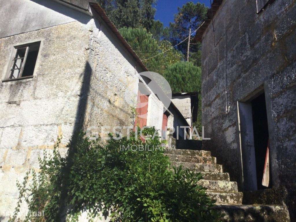 Quinta com vista rio Tâmega e duas moradias para recuperar - Grande imagem: 4/25