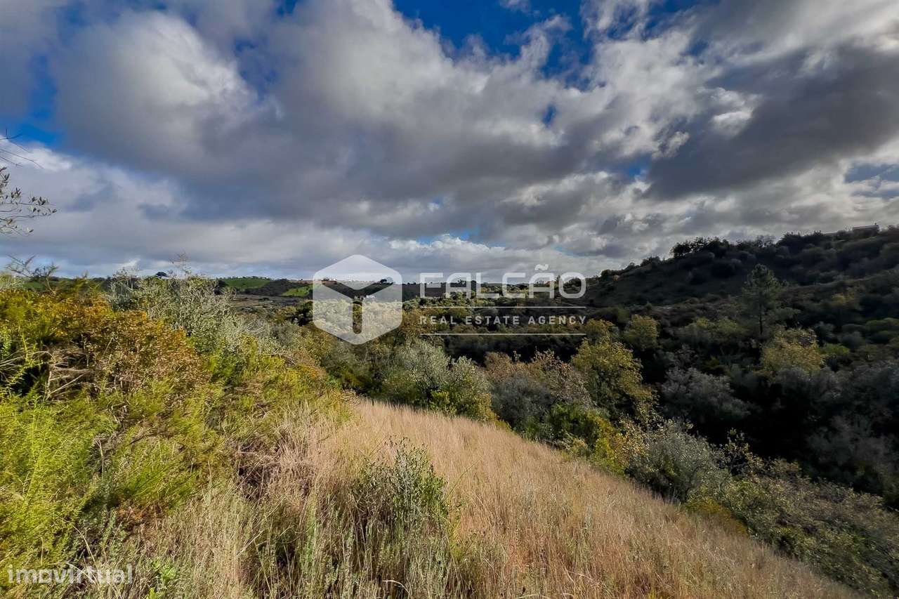 Terreno Misto  Venda em Azoia de Cima e Tremês,Santarém - Grande imagem: 4/28