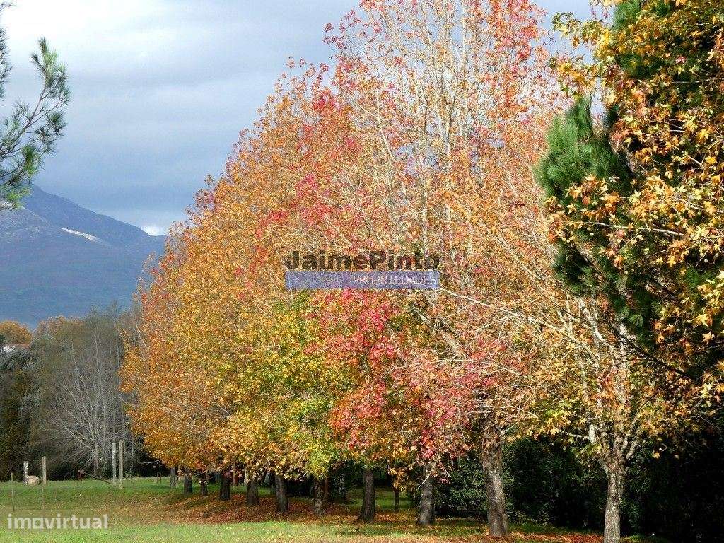 30.000m2, quinta contígua Rio Lima, Viana do Castelo. Portugal, Nor...-8