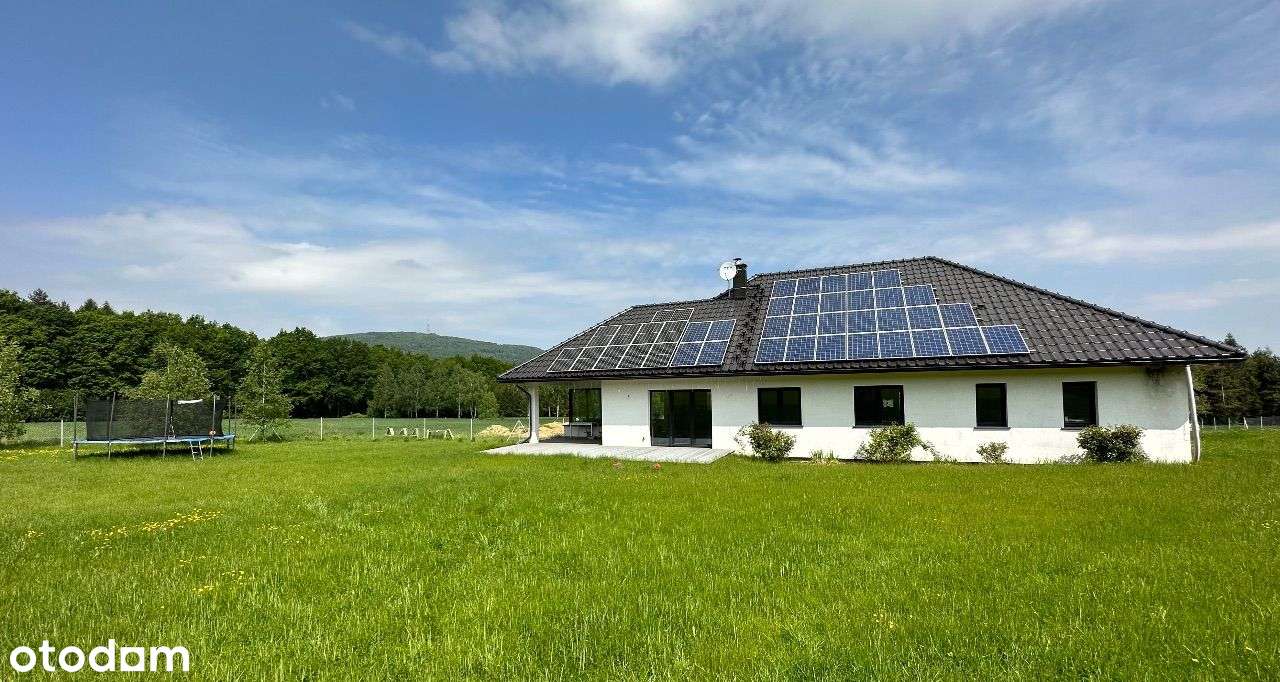 NOWA CENA!!! Rezydencja z 1ha ogrodu przy lesie - Pełny obrazek: 4/20