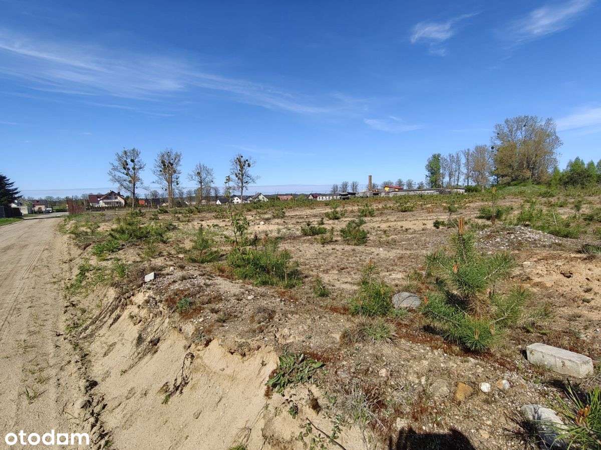 Sprzedam działkę budowlaną w Linii ul.Świerkowa-5