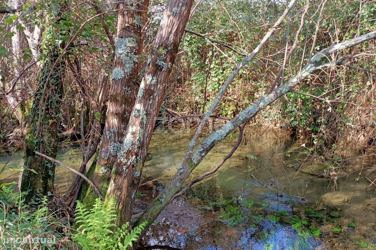 Terreno de 6080 m2, Cervães - Vila Verde - Grande imagem: 2/19