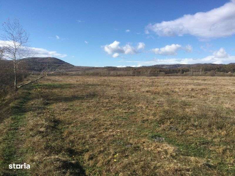 Teren Intravilan 80 ari, loc case , Tg Lapus  str Maramuresului - Imagine principală: 5/8