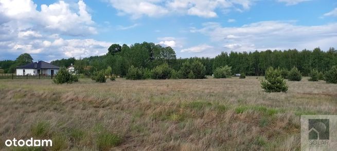 Wyjątkowe, 18km od Bydgoszczy, lokata kapitału!-2