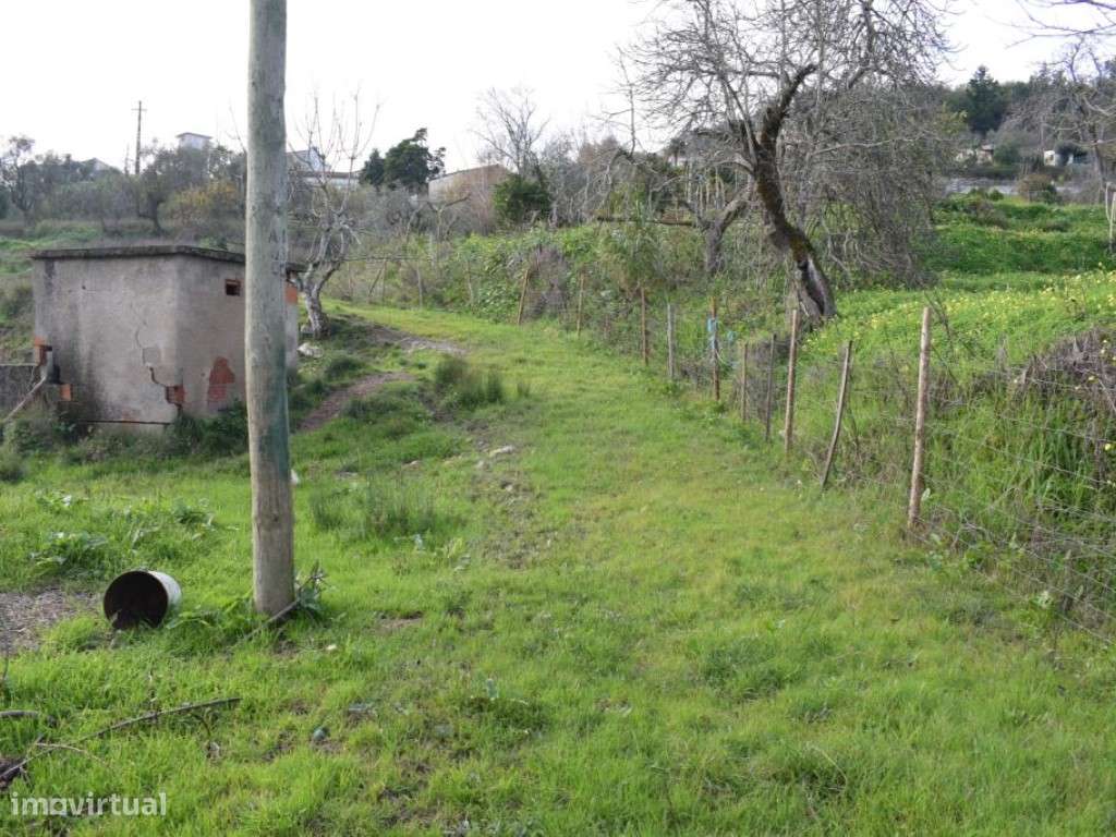 Quinta entre Antanhol e Cernache-6