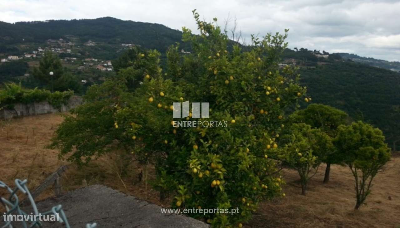 Venda Terreno, Ancede, Baião - Grande imagem: 3/4