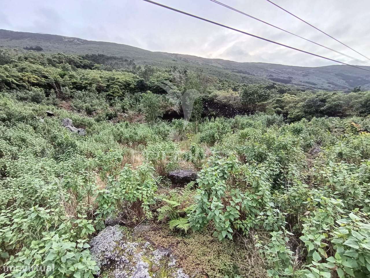 Terreno, para venda, em Santo Amaro, São Roque do Pico - Grande imagem: 3/10