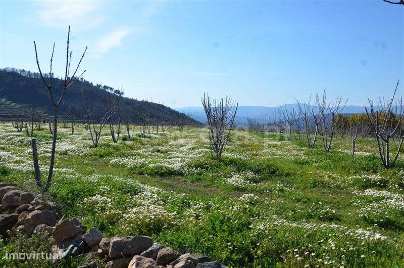 Quinta / Fundão, Aldeia de Joanes - Grande imagem: 3/20