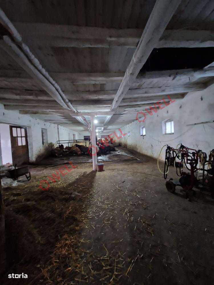 De vânzare fermă în Baraolt - Imagine principală: 4/14