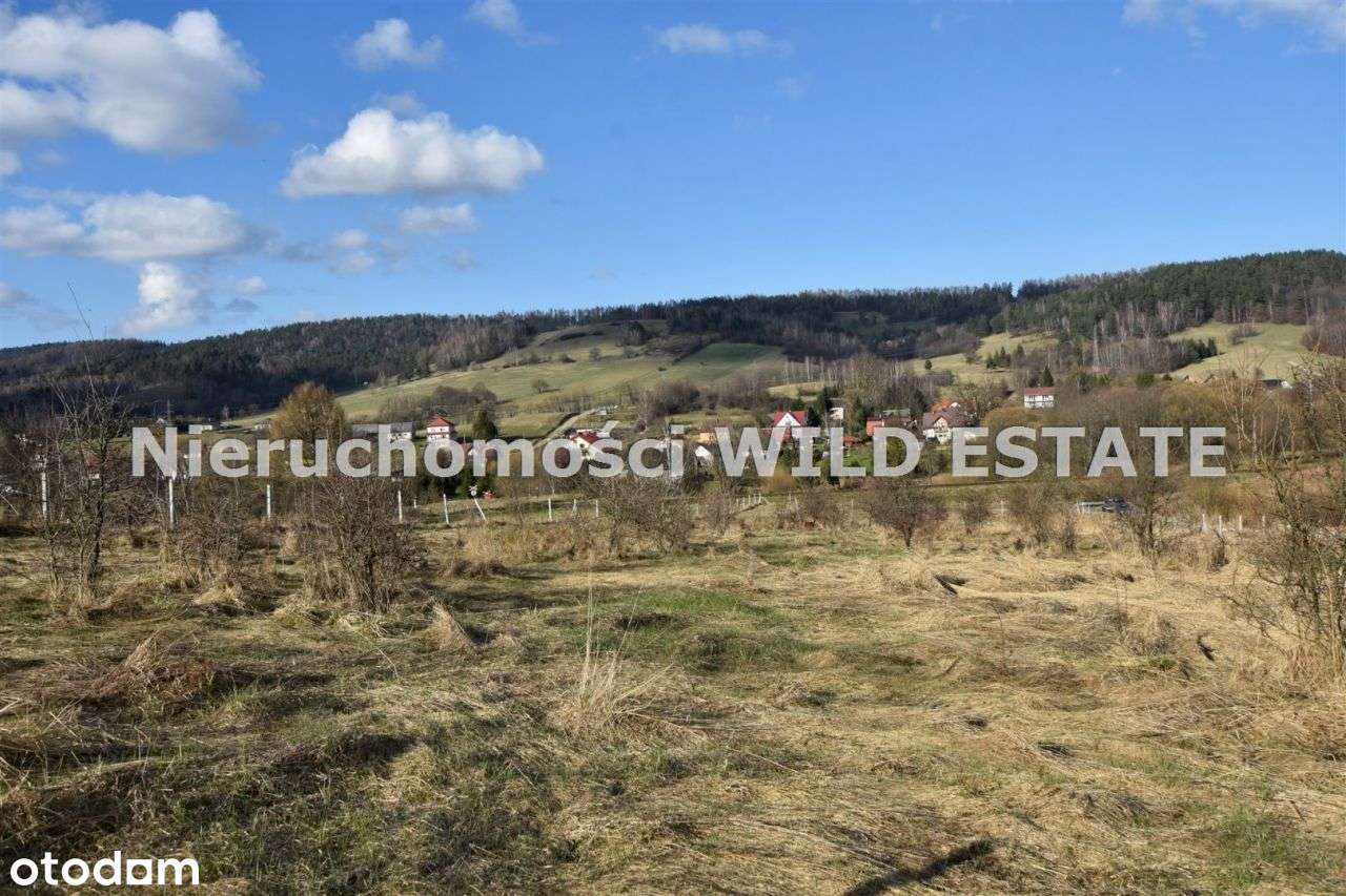 Działka, 5 533 m², Ustrzyki Dolne - Pełny obrazek: 2/7