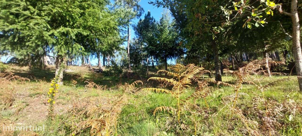 Terreno para Construção Soutulho - Viseu - Grande imagem: 5/11